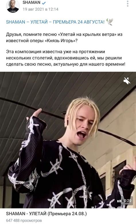 Pin von Olga auf SHAMAN