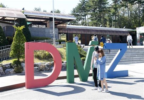 평화관광 1번지 파주시 ‘dmz 평화관광’ 재개 국민일보