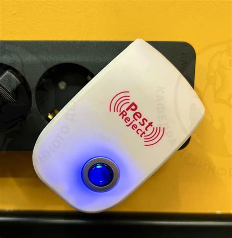 Ультразвуковой отпугиватель тараканов: покупать или нет?