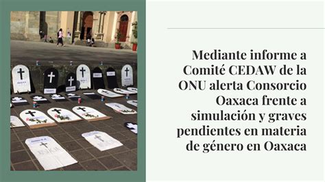 Mediante informe a Comité CEDAW de la ONU alerta Consorcio Oaxaca