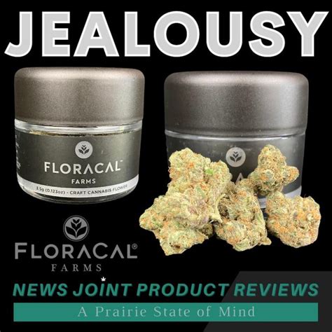 Review Jealousy By Floracal Illinois News Joint