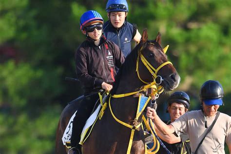 【七夕賞】フェーングロッテンは安定感抜群！ 福島で再び飛躍の夏へ サンスポzbat