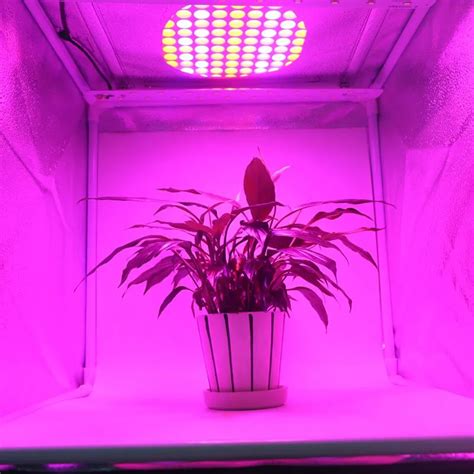 Ultrathin W Led Plant Led Grow Light Panel For Indoor Hydroponics Red