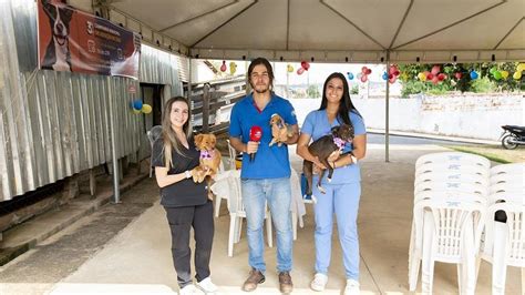 Campanha de adoção cães estão à procura de um lar no Canil Municipal