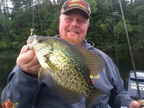 Where To Find Big Summer Panfish Northland Fishing Tackle