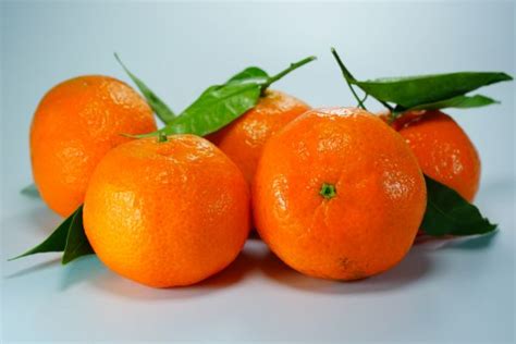 Free Images Fruit Produce Tangerine Calabaza Kumquat Clementine