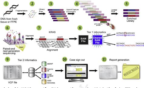 Figure 1 From Validation Of A Next Generation Sequencing Assay For