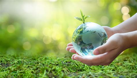 eco label sertifikasi produk ekologi