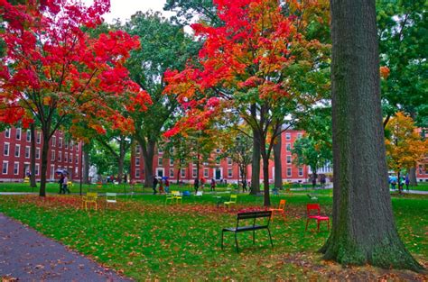 Harvard Yard | Harvard yard, Fall foliage, Beautiful landscapes