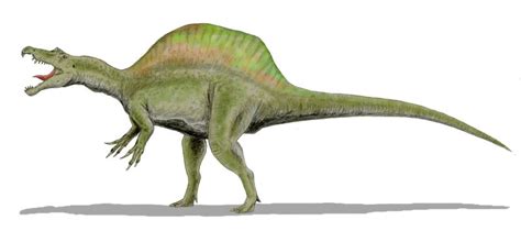 Spinosaurus | Dinosaurs - Pictures and Facts