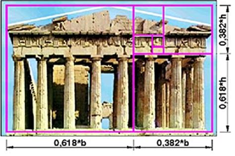 La Sezione Aurea Larchitetto Della Natura 2