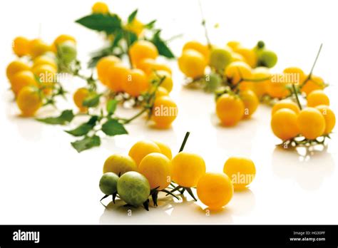 Yellow cherry tomatoes Stock Photo - Alamy