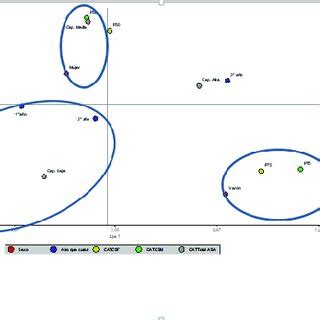 Group Of Variables Gender Current Academic Year Category In