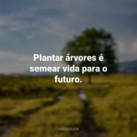 Melhores Frases Do Dia Da Rvore Plantar Rvores Semear Vida Para O