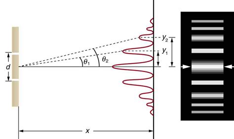 Young’s Double Slit Experiment – Fundamentals of Heat, Light & Sound