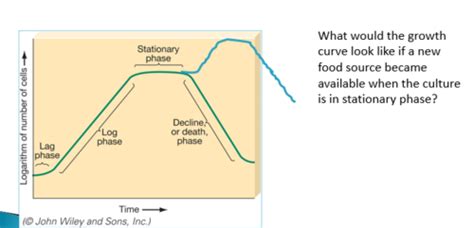 Microbial Growth And Control Ch 7 11 Flashcards Quizlet