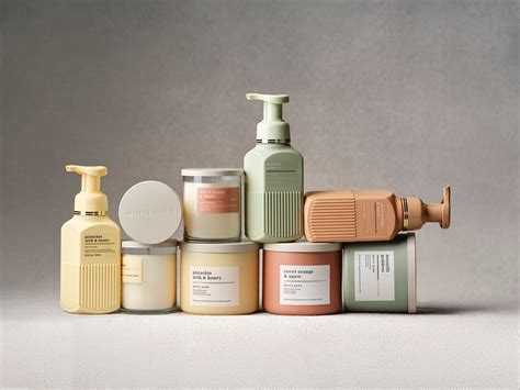 Shopping at Big Lots: Store Locations, Sales, and Product Offers 39