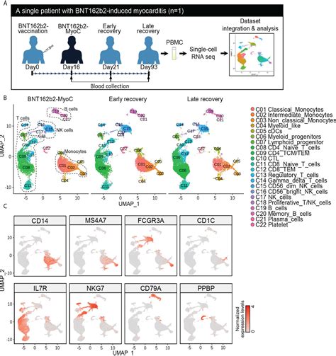 Frontiers Single Cell Sequencing Of Pbmc Characterizes The Altered