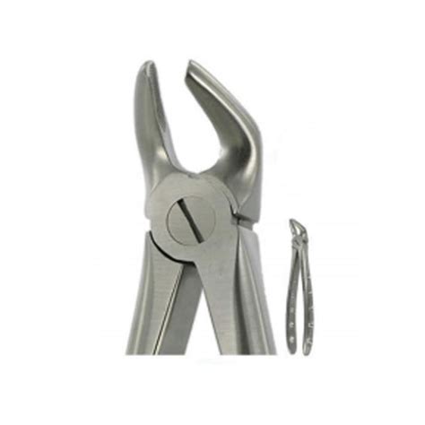 English Extracting Forceps Lower Premolars No 8 GerDentUSA