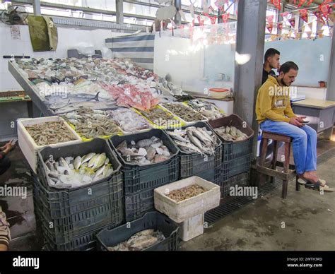 Fische Im Fischmarkt Von Hurghada Gypten Fish In The Fish Market