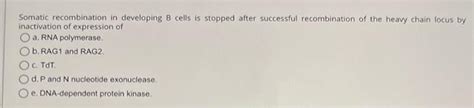 Solved Somatic recombination in developing B cells is | Chegg.com