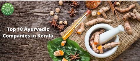 Top 10 Ayurvedic Companies In Kerala Top 10 Best Ayurvedic Companies