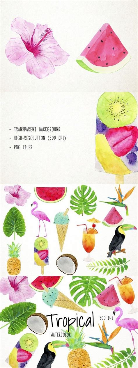 Watercolor Tropical Clipart Clip Art Watercolor Tropical