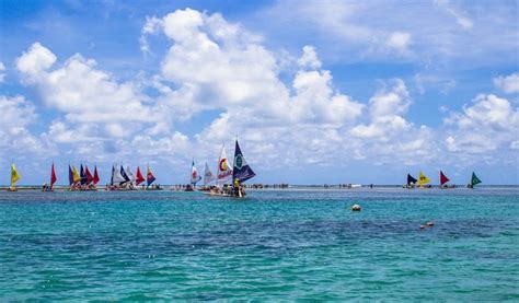 Saiba Tudo Pra Sua Viagem Em Porto De Galinhas Dicas De O Que