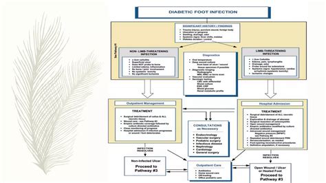 Management Of Diabetic Foot Pptx Foot Health Diseases And Conditions