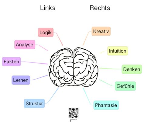 Links Vs Rechts Gehirn Neuromythos Das Kleinhirn