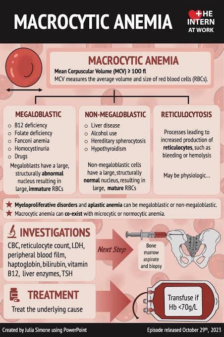 Macrocytic Anemia Medizzy