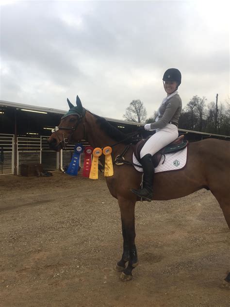 debt  equestrian success   show ring   budget