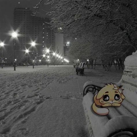 Create Meme Snowy Evening Telegram Snow Pictures Meme