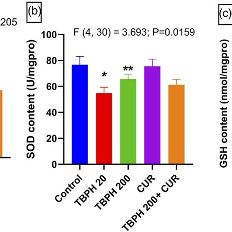 Oxidative Damage Levels In The Hippocampus Of Mice From The Different Download Scientific