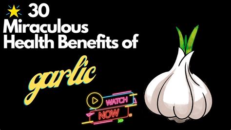 Garlic Garlic Plant Benefits Of Garlic Is Garlic Good For You Youtube