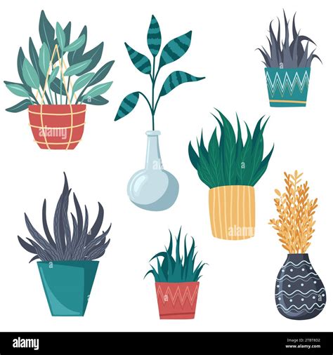 Potted Plants Collection Succulents And House Plants Hand Drawn