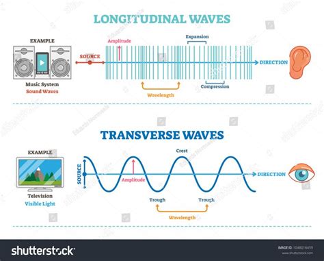 Longitudinal and Transverse wave type, vector illustration scientific ...