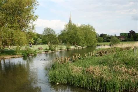 Coarse Day Ticket River Nadder Salisbury The Salisbury District