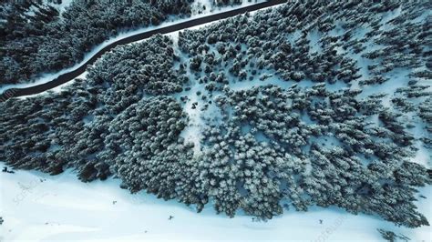 Aerial View Of Forest Road Les Trois Vallees France Stock Video