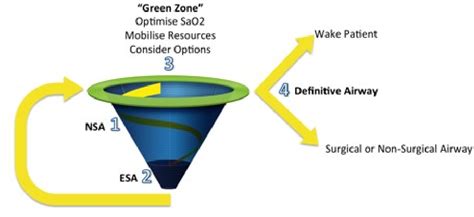 Figure 1 From The Vortex Approach Management Of The Unanticipated