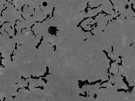 Microstructure Of Compacted Graphite Iron Download Scientific Diagram