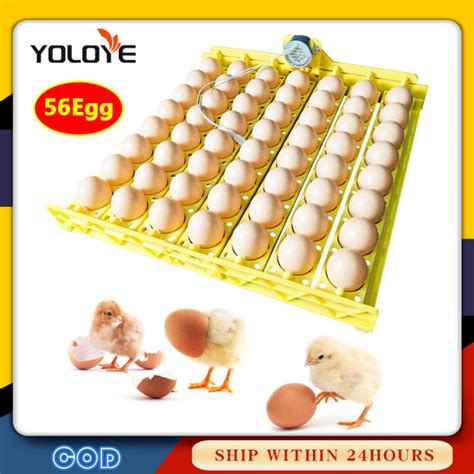 56 Chicken Egg Automatic Incubator Tray With Auto Turn Motor 220V For