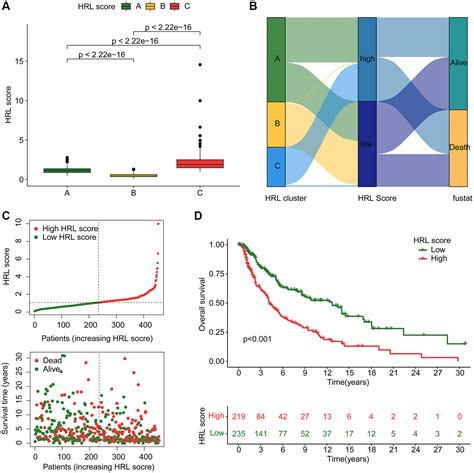 Identification Of Hypoxic Related Lncrnas Prognostic Model For