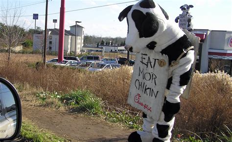 Chick Fil A Cow