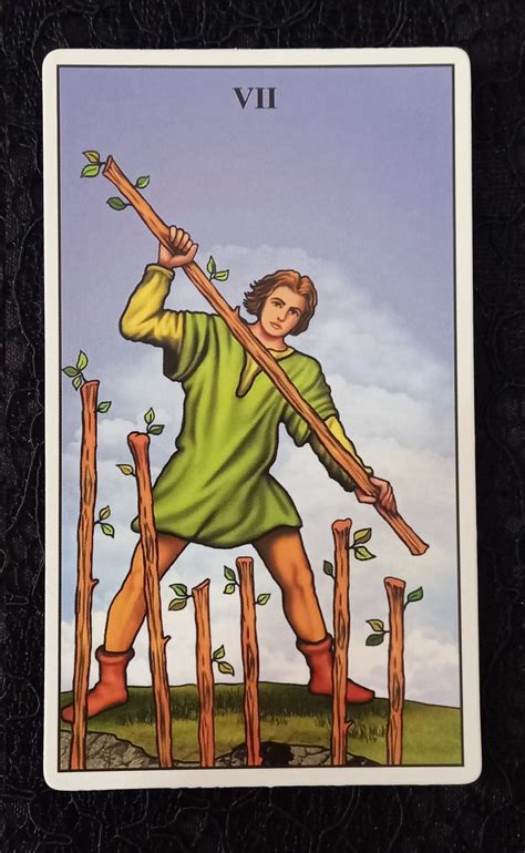 Sete De Paus Tarot Significado Conselho Amor E Dinheiro