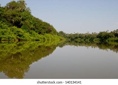 2,168 Gambia river Images, Stock Photos & Vectors | Shutterstock