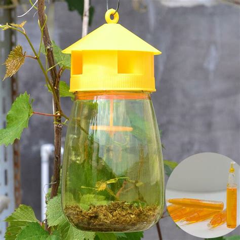 Zoll Obst Fliegenfalle Mehrweg Obst Fly Catcher Falle Flasche