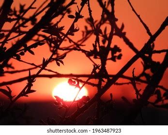 Silhouette Plans Red Sunset Background Stock Photo 1963487923 ...