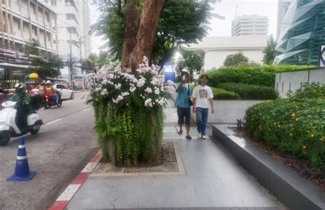 Bangkok Remove More Than 23000 Obstacles On Sidewalks