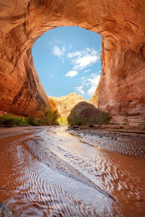 Jacob Hamblin Arch Alcove Coyote Gulch Alan Majchrowicz Photography